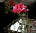 Coloured Acrylic Mirror